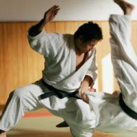 Nokido Ju-Jitsu, Judo & BJJ ico