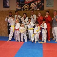 Revolutionary Martial Arts & Fitness ico