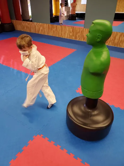 Revolutionary Martial Arts & Fitness Picture 8