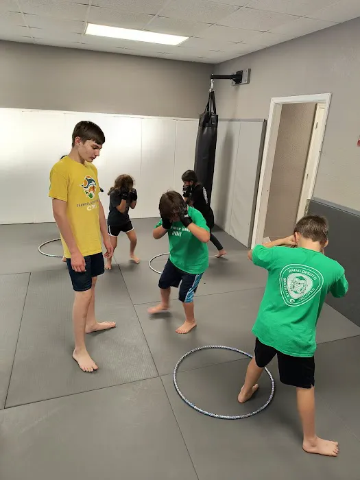 Rmnu Desoto Martial Arts Picture 2