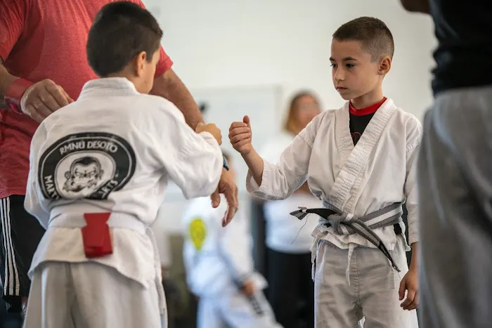Rmnu Desoto Martial Arts Picture 8