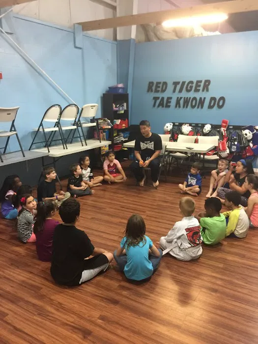 Red Tiger Martial Arts Picture 9