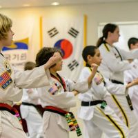 Lee's Traditional Taekwondo ico