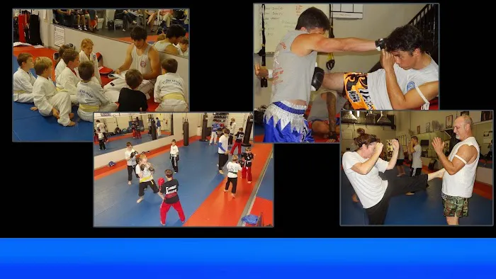 Martin Academy of Martial Arts Picture 4