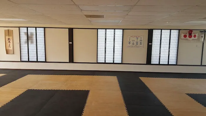 Sung Cho's Tae Kwon Do Picture 1