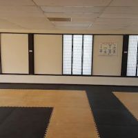 Sung Cho's Tae Kwon Do ico
