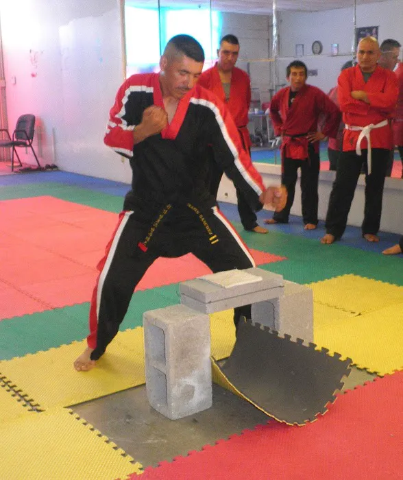 Quick Kick Tae Kwon Do Picture 2