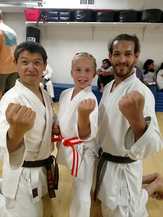Lake Placid Renshinkan Karate Picture 5