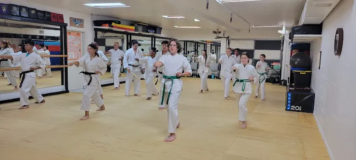 Lake Placid Renshinkan Karate Picture 6