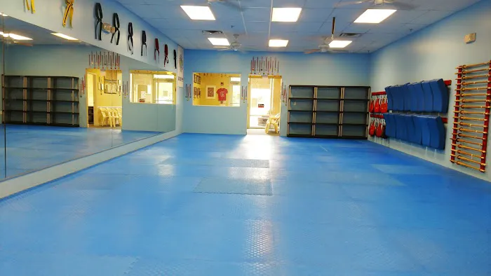 Lakewood Ranch Taekwondo Picture 9