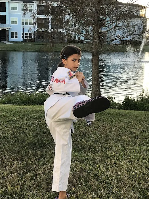 Lakewood Ranch Taekwondo Picture 6