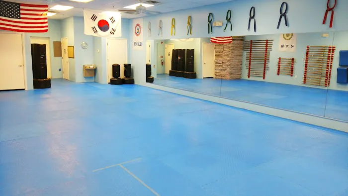 Lakewood Ranch Taekwondo Picture 7