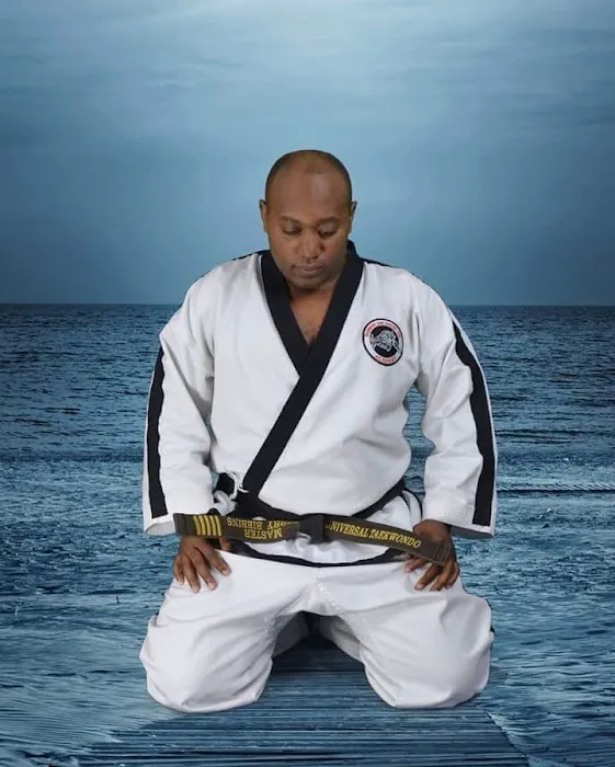 Bibbins Tae Kwon Do Picture 3