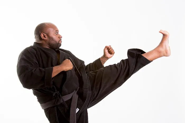 Bibbins Tae Kwon Do Picture 2