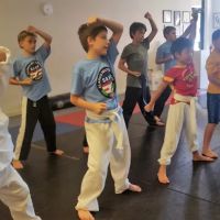 Clark's Self Defense ico