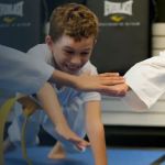 Laping Martial Arts Black Belt Academy