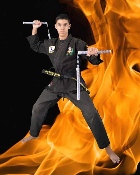 Yum's Karate Picture 8