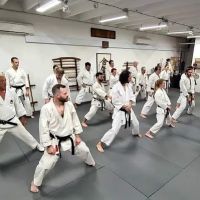 West Wind Dojo ico