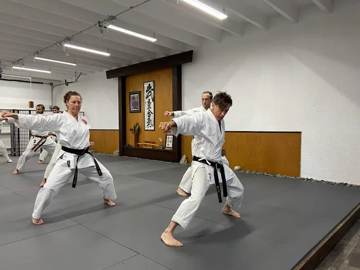 West Wind Dojo Picture 3