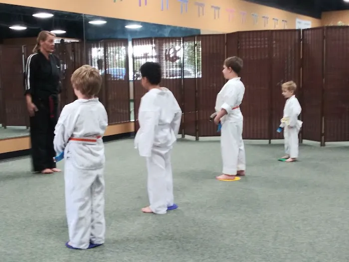 Ancient Ways Martial Arts Academy Picture 4