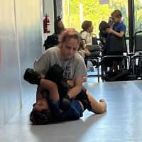 Raiz Jiu Jitsu Sarasota ico
