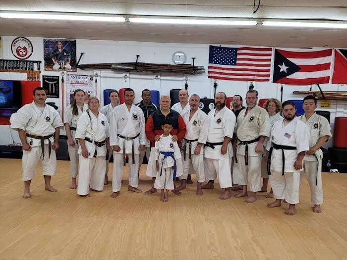 Karate DojoTamashintai Usa Picture 4