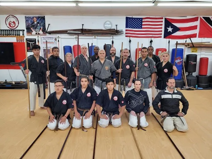 Karate DojoTamashintai Usa Picture 7