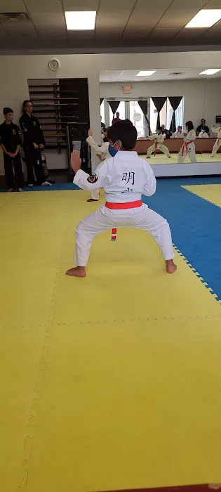 Ming Wu Martial Arts Picture 3