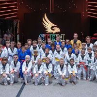 STEM Martial Arts ico