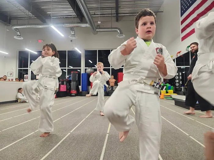 Alpha Martial Arts Academy Picture 10