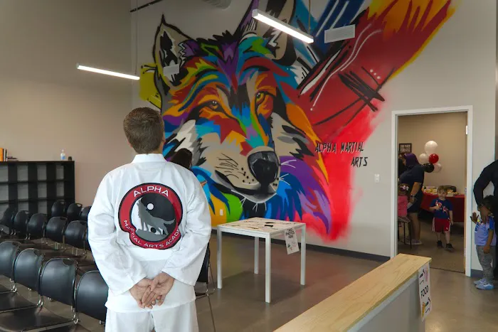 Alpha Martial Arts Academy Picture 3