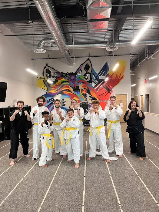 Alpha Martial Arts Academy Picture 9
