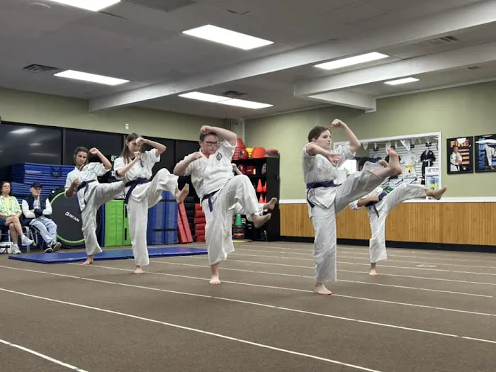 Victory Martial Arts Academy Ruskin Picture 1