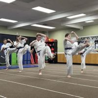 Victory Martial Arts Academy Ruskin ico