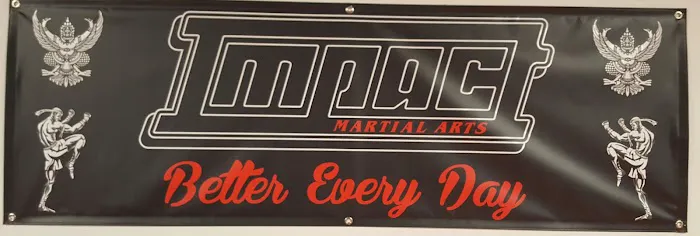 Impact Martial Arts and Conditioning Picture 3