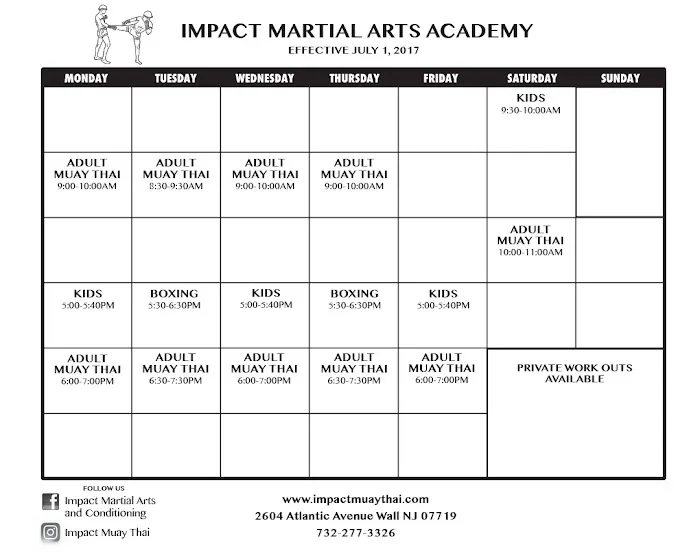 Impact Martial Arts and Conditioning Picture 8