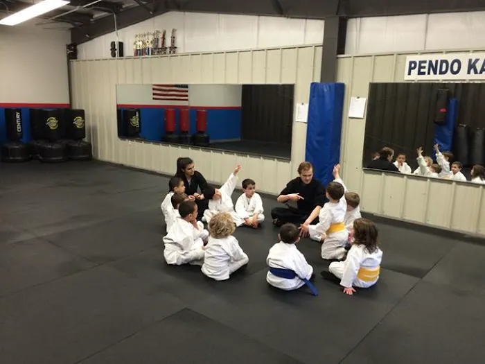 Pendo Karate Picture 5