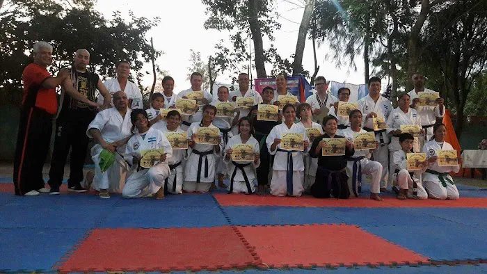 Black Dragons Dojo Bradley Beach Picture 9