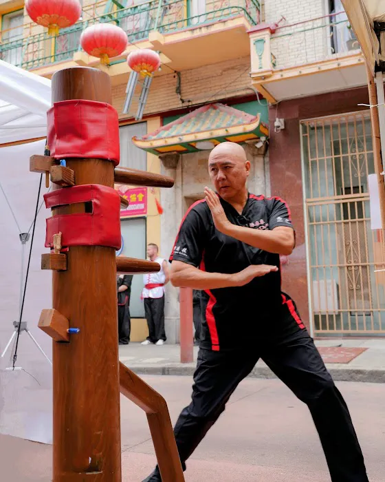 Wing Chun Dynamics Picture 1