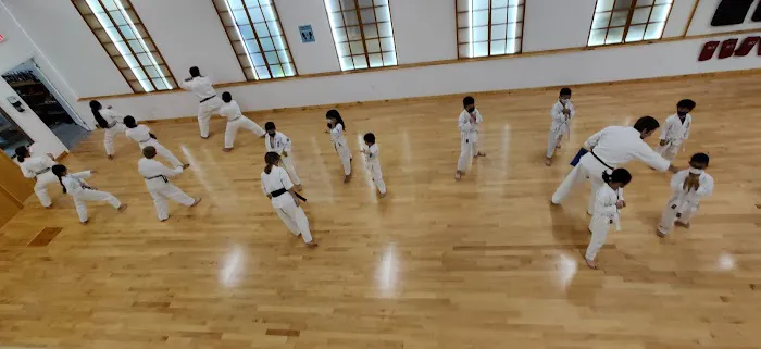 World Seido Karate Picture 5