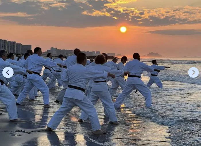 World Seido Karate Picture 1
