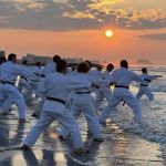World Seido Karate
