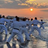 World Seido Karate ico