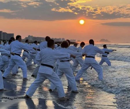 World Seido Karate