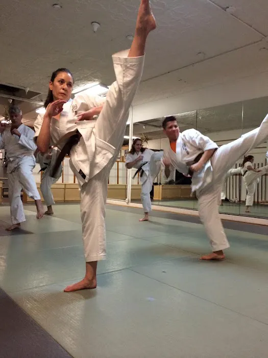 Karate-Do Ken Wa Kan Picture 10
