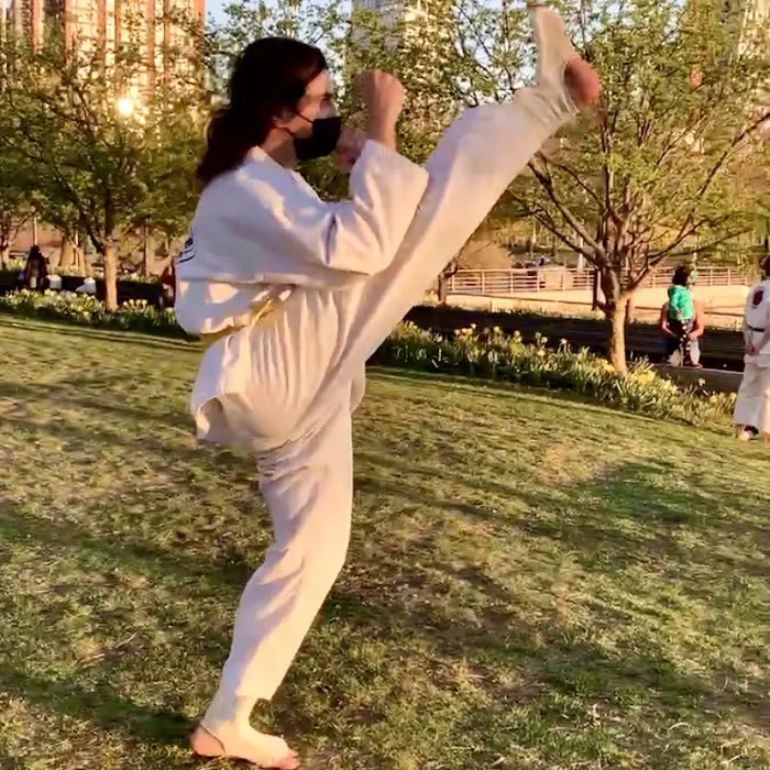 Karate-Do Ken Wa Kan Picture 2
