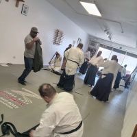 Asiatic Martial Arts ico