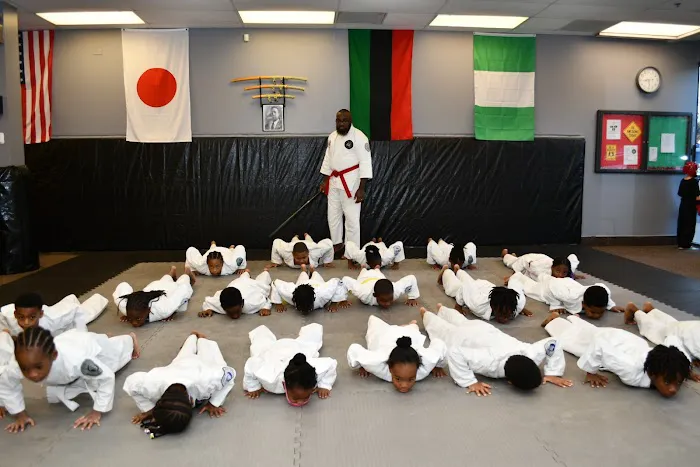 Dragon Budo Jujutsu Martial Arts Academy Picture 7