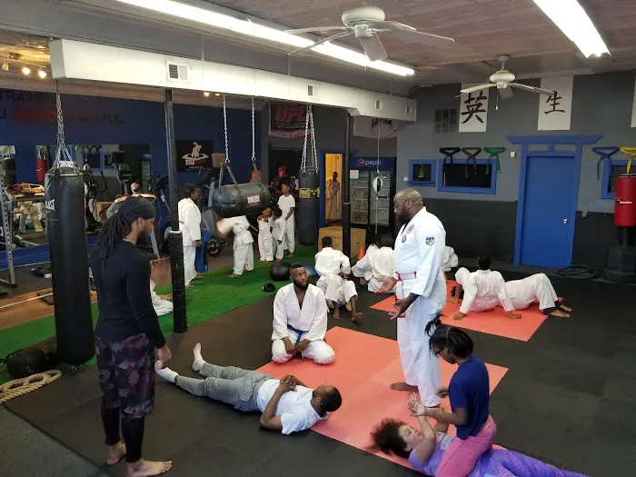 Dragon Budo Jujutsu Martial Arts Academy Picture 6