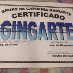 Gingarte Capoeira Chicago